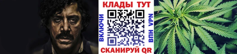 Виды наркотиков купить Острогожск КОКАИН  Канабис  МЕФ  Alpha-PVP  ГАШ 