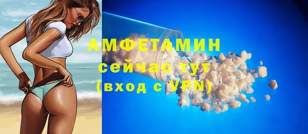 сатива Аркадак