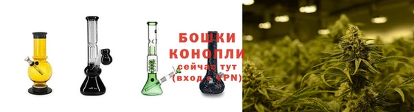 ГАЛЛЮЦИНОГЕННЫЕ ГРИБЫ Арсеньев