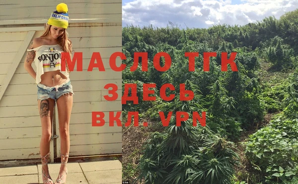 сатива Аркадак