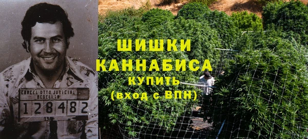 ГАЛЛЮЦИНОГЕННЫЕ ГРИБЫ Арсеньев
