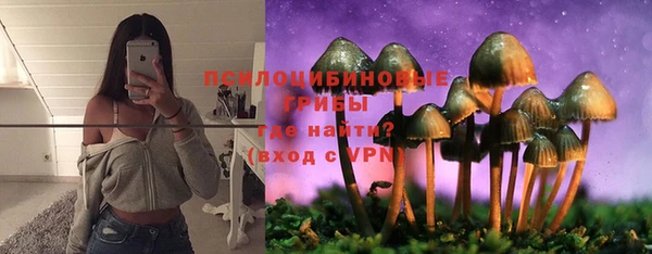спиды Армянск