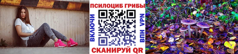 omg ONION  Острогожск  Галлюциногенные грибы Cubensis 